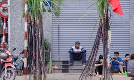 Mía lộc xuống phố trong chiều 30 Tết