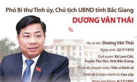 Chân dung tân Chủ tịch UBND tỉnh Bắc Giang Dương Văn Thái