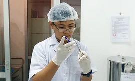 Học sinh giành giải Ba Quốc gia tuyển thẳng vào ĐH Duy Tân 