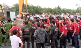 Địa ốc Alibaba: Đụng đâu sai đó