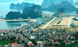 Các thị trường vùng ven xuất hiện hiện tượng nóng, sốt bất thường