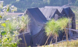 Biệt thự 'xẻ thịt' rừng Sóc Sơn bất ngờ phủ kín bạt 'ngủ đông'