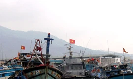 Tàu thuyền về trú tránh tại âu thuyền Thọ Quang - Đà Nẵng