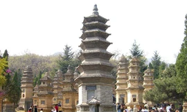 Thiếu Lâm Tự có thể tụt hạng vì bẩn