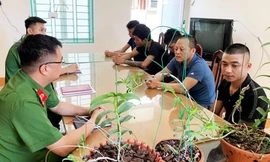 Công an Hoà Bình bắt giữ nhóm đối tượng lừa đảo lan đột biến