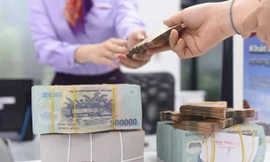 Thị trường vốn Việt Nam đang cần những nguồn lực tài chính mạnh mẽ cả trong và ngoài nước 