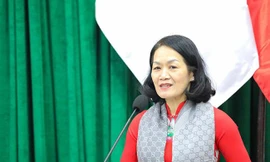 Bà Bùi Thị Hòa giữ chức Bí thư Đảng đoàn Hội Chữ thập đỏ Việt Nam