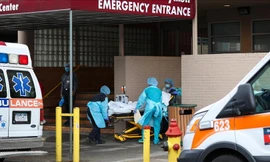 Mỹ: Bùng phát nhiễm khuẩn salmonella từ hành tây 