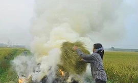 Đốt rơm rạ ở ngoại ô khiến nội thành Hà Nội mù mịt những ngày qua