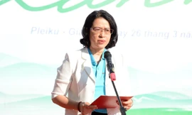 Chung tay vì 'Giấc mơ đại ngàn'