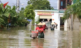 Cuộc sống của người dân vùng rốn lụt Nghệ An