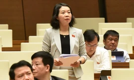 Đại biểu Mai Thị Phương Hoa phát biểu thảo luận tại Quốc hội. Ảnh: Như Ý