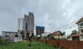 Năm lô đất biệt thự ven biển Sơn Trà (Đà Nẵng) từng được ủy quyền cho Phan Văn Anh Vũ trong 10 năm. Ảnh: Nguyễn Thành