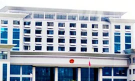 Bé gái 13 tuổi giết rồi chặt xác bạn thân vì ghen tị