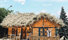 Một mùa cúc hoạ mi xinh xắn lại đến: “Lên đồ” cùng hội BFF để có những tấm ảnh “nghìn like” nào!