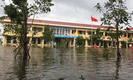 Nhiều trường ĐH, CĐ miễn giảm học phí, tặng học bổng cho sinh viên vùng lũ miền Trung