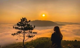 View “săn mây” đẹp ảo diệu ở Đà Lạt thông báo đóng cửa vì ý thức kém của du khách