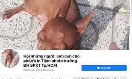 Chuyện thật như đùa: Đến đàn gà, con chó cũng bị lập trang anti trên mạng xã hội