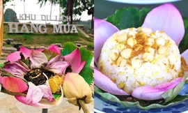 Sen Hang Múa (Ninh Bình) không chỉ đẹp mà còn gây sốt với trà, ẩm thực giữa trời Đông 