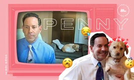 Chú chó bất ngờ nổi tiếng khi nằm ngủ trên sofa trong lúc chủ nhân dẫn bản tin truyền hình