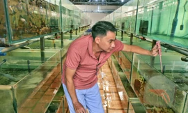 Đây là nghề hot sau sáp nhập tỉnh Bà Rịa-Vũng Tàu, Bình Dương với TPHCM