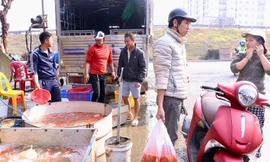 Nhộn nhịp chợ cá vàng tiễn ông Công ông Táo về trời