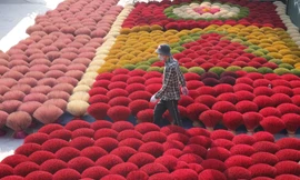 Hà Nội: Làng hương Quảng Phú Cầu tất bật những ngày cuối năm