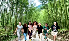 Khám phá rừng trúc Pù Lầu đẹp như trong phim kiếm hiệp ở Bắc Kạn