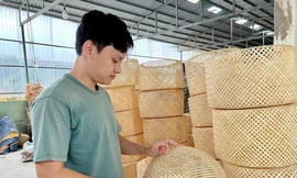 Anh Lê Quốc Đại kiểm tra lại chất lượng chao đèn