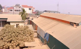 Khốn khổ cuộc sống trong ‘làng tỷ phú’ chế biến gỗ nổi tiếng Hà Nội 