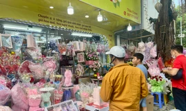 Hoa bánh kem, hoa thú bông độc lạ hút giới trẻ dịp 20/10