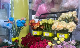 Hoa tươi dịp 20/11: ‘Mong bán được 15-20 bó là vui lắm rồi’
