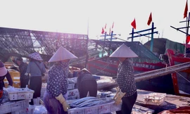 Tấp nập chợ cá Lạch Trường ngày nghỉ lễ