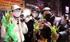 Giới trẻ mê trồng hoa tulip, tiểu thương thu hàng chục triệu mỗi ngày