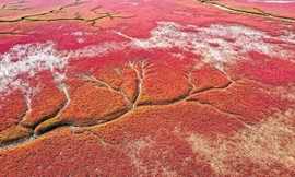 Biển Đỏ nối với kênh đào nào?