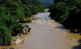 Bản tin 8H: Phó Chủ tịch xã tử vong trên sông La Bá