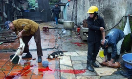 Ảnh minh họa. Nguồn: Internet