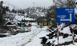 Lên Sapa ngắm tuyết, nhiều người trẻ bị cho là vô cảm?