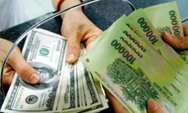 Tiền đồng trước áp lực giảm lãi suất cho vay