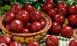 'Viaga' từ quả mận