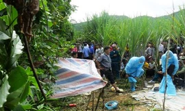 Nghi án 9X giết nữ sinh lớp tám trong vườn mía