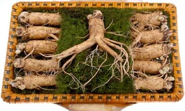 Người cao huyết áp có nên dùng sâm?