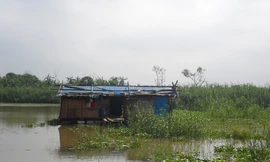 Tận cùng khổ đau ‘xóm chị Dậu’ giữa Thủ đô