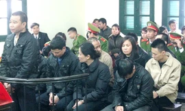 Sản xuất ma túy giữa Thủ đô