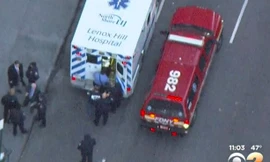 Hsu Chen bị cảnh sát bắt giữ 