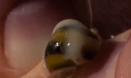 Khoảnh khắc kinh hoàng khiến cả gia đình Paul 'rùng mình' 