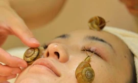 Những loại mỹ phẩm cực độc đáo từ xứ kim chi