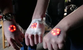 Ba 'dị nhân' người Đức khoe chiến tích 