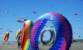 Vũng Tàu tổ chức lễ hội Diều dịp Tết Dương lịch