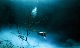 Choáng ngợp vẻ đẹp trong hố tử thần của người Maya